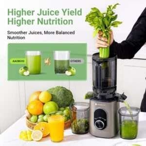 AAOBOSI Cold Press Juicer review