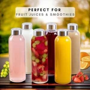 Brieftons Glass Water Bottles review